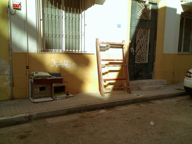 Scaffolding leaning against a wall lit by indirect sunlight slanted across the building.