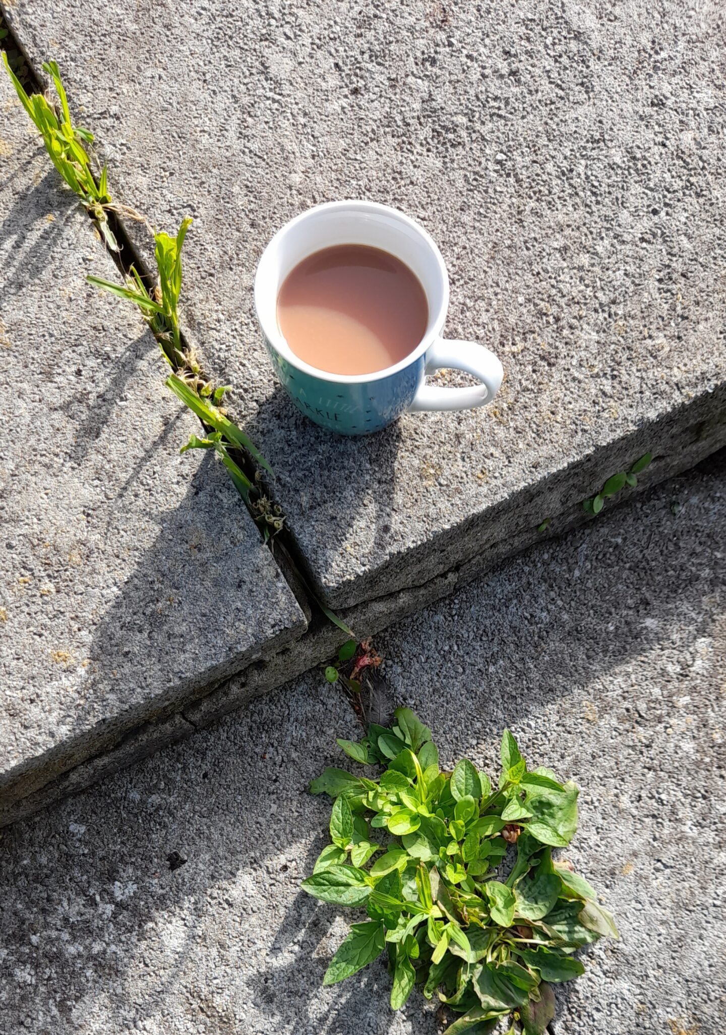 A mug of tea sitting on a concrete path with green plant poking through the cracks