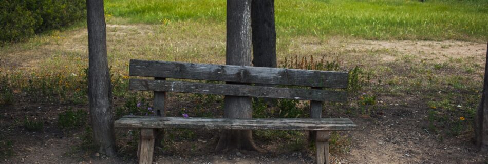A weathered wooden bench stands among trees on a dirt path, facing a grassy field with dense green foliage in the background on a cloudy day.