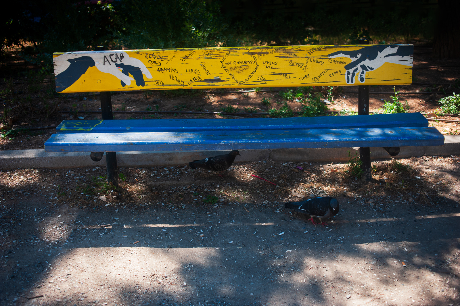 A blue and yellow park bench with painted hands and signatures on the backrest; two pigeons walk on the ground in front of it. The area is shaded with scattered leaves and dirt.