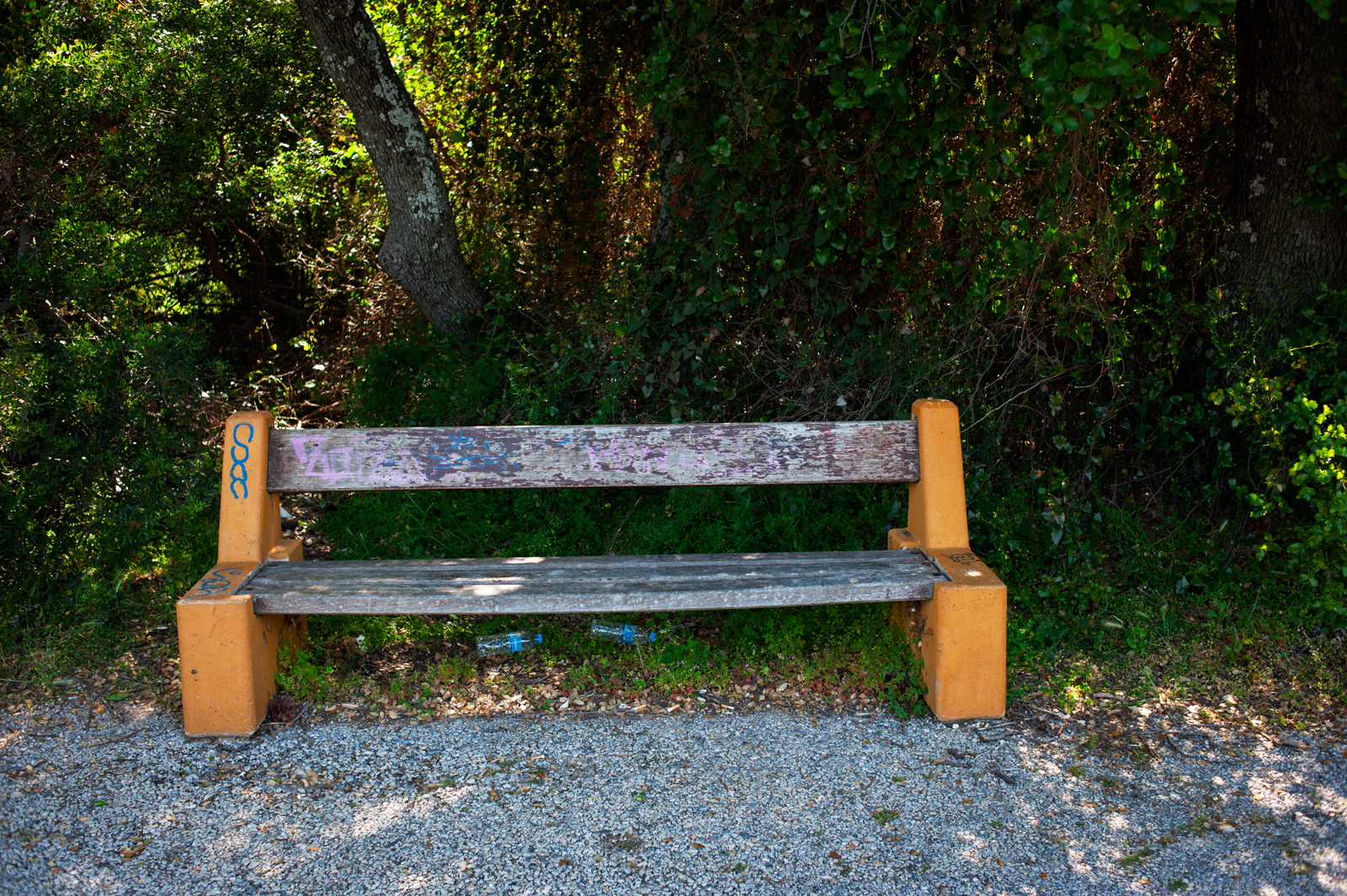 A weathered wooden bench with yellow supports sits on a gravel path in front of dense green foliage and trees, partially shaded by sunlight.