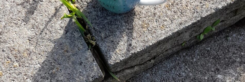 A mug of tea sitting on a concrete path with green plant poking through the cracks