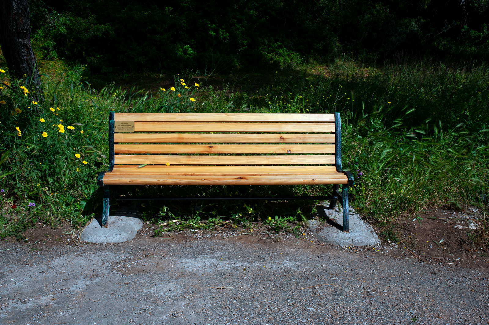 A wooden park bench with metal legs sits on a dirt path, surrounded by grass, wildflowers, and greenery in a sunlit outdoor setting.