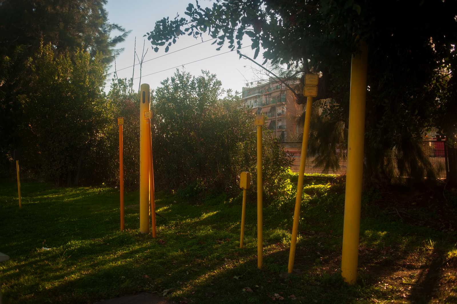 Some yellow street signs and poles beside the railway.