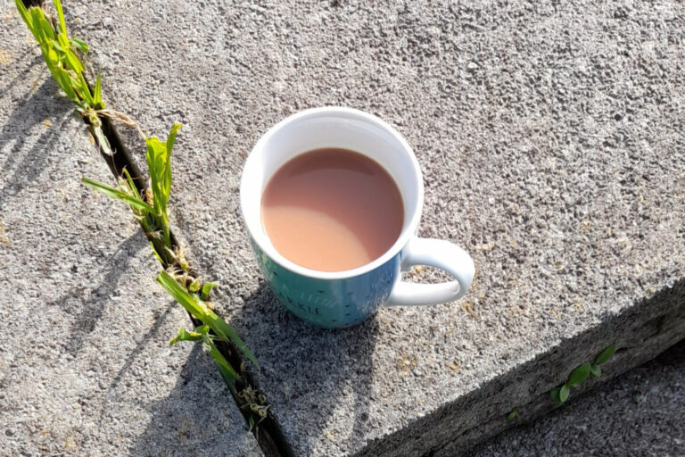 A header photograph for my blog posts featuring a cup of tea on a stone tile in a sunny garden