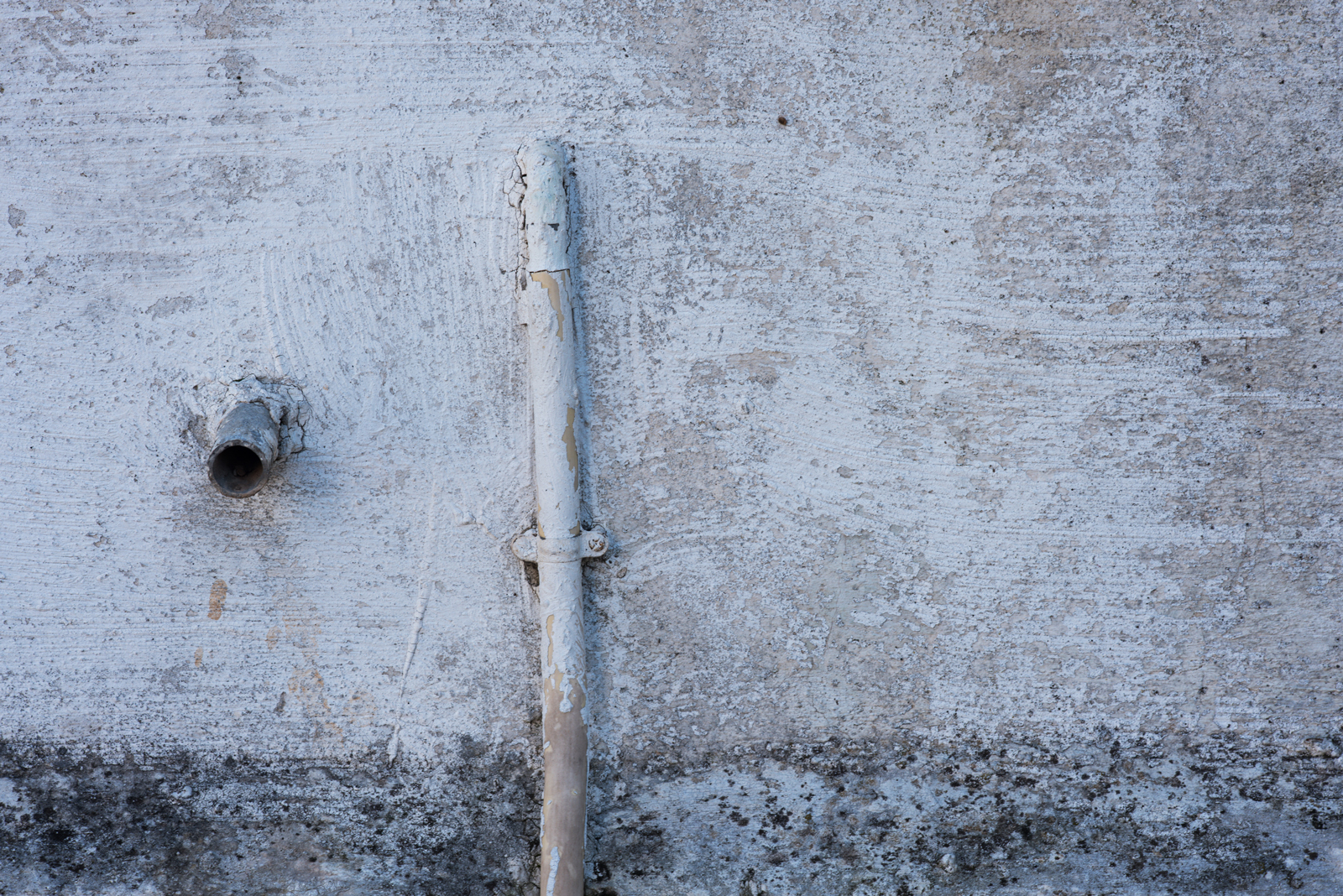 whitewash-web
