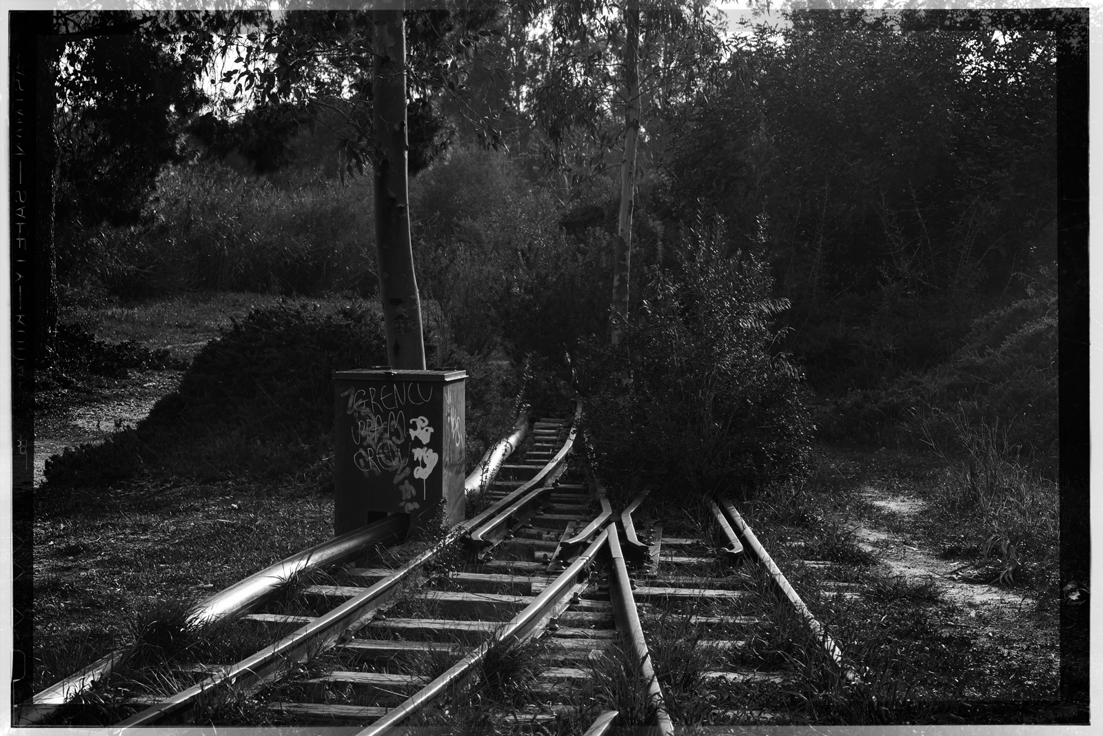 A photograph of an abandoned railway track in black and white